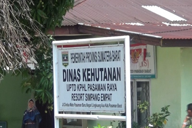 Pengelola kehutanan Pasaman Barat intensifkan sosialisasi cegah karhutla