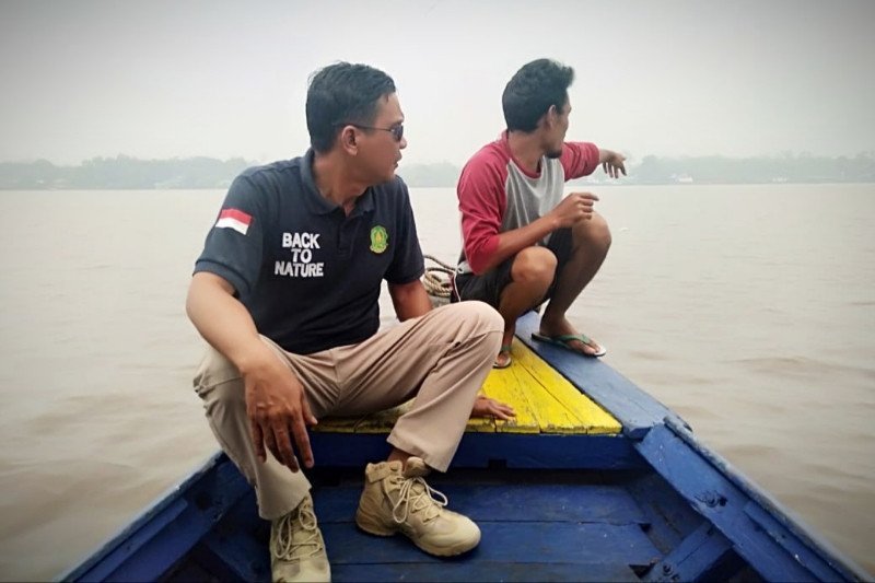 Buaya Sungai Mentaya menyasar perairan pusat kota