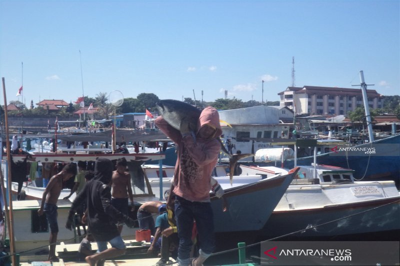 Cuaca buruk sebabkan harga ikan di Kupang meroket