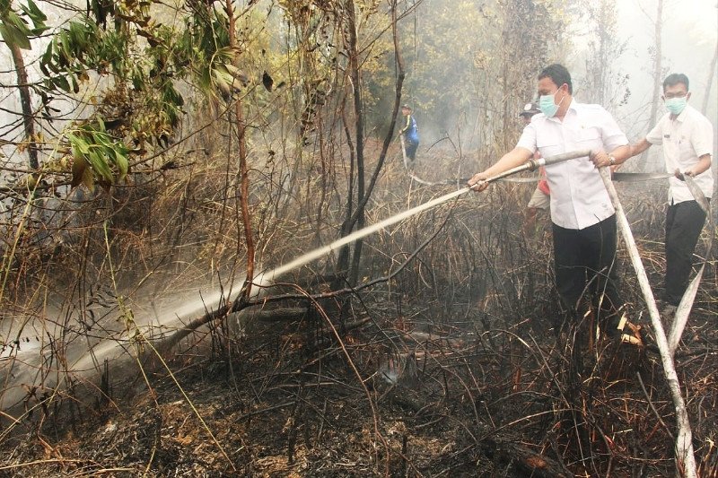 Jangan 'kambing hitamkan' Pulpis terkait kabut asap di sebagian wilayah Kalteng