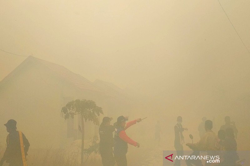 Pemprov lakukan sejumlah tindakan saat transisi pemulihan karhutla di Kalteng