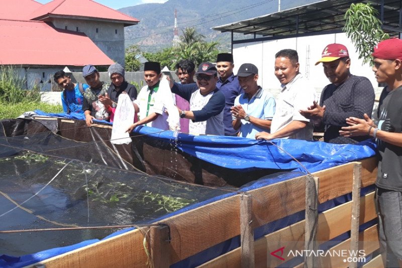 Ansor Palu luncurkan budi daya perikanan berbasis komunitas