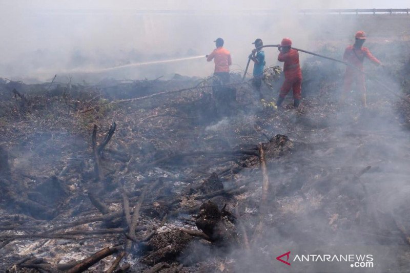 300 personel Satgas Karhutla padamkan api dekat areal PT DGS
