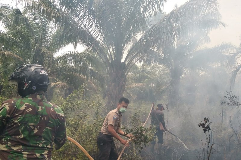 Kebakaran hebat landa perkebunan, polisi ikut padamkan kobaran api