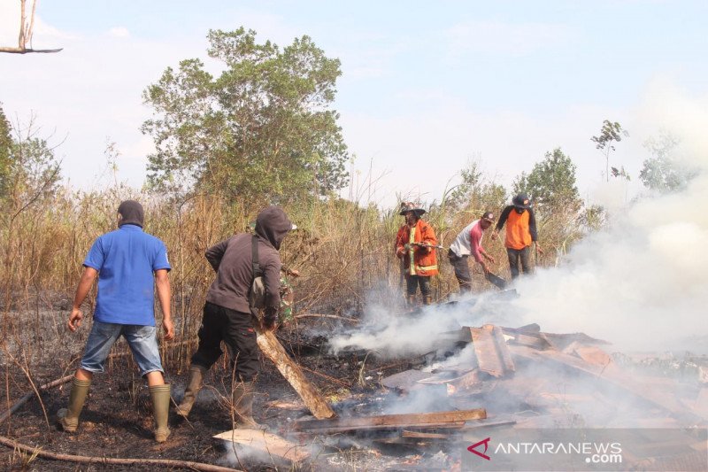 Solok Selatan bentuk Satgas Karhutla