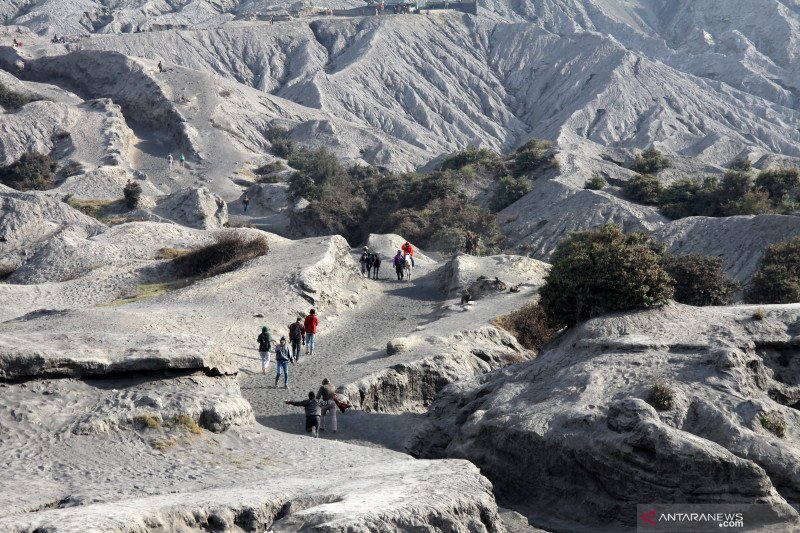 Wisata ke Gunung Bromo