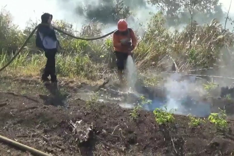 Polisi ingatkan sanksi pembakar lahan di Penajam Paser Utara