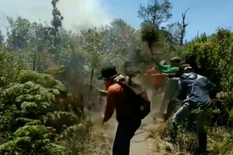 Lereng Gunung Semeru terbakar