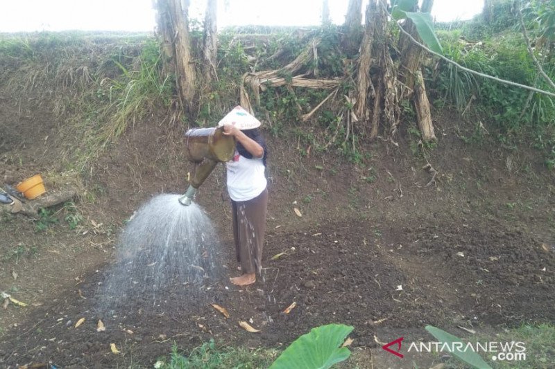 Warga kaki Gunung Gede-Pangrango Cianjur kesulitan air bersih