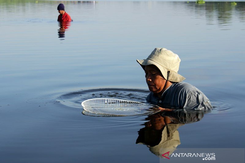 Pencari kerang sungai