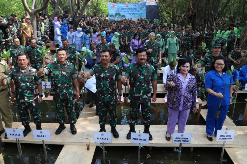 TNI Tanam mangrove dari Sabang sampai Merauke