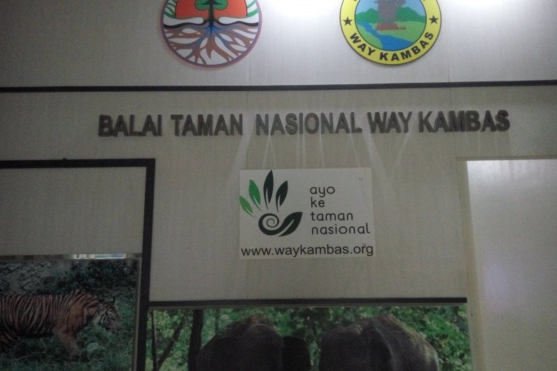 729 hektare hutan Way Kambas terbakar