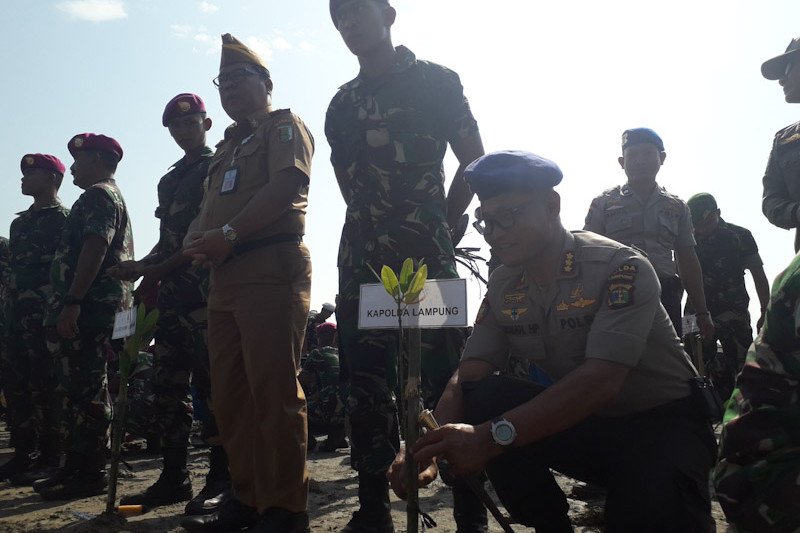 300.74 bibit mangrove ditanam serentak pada puncak HUT TNI