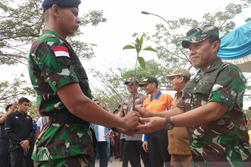 Lanal Dumai turut menanam 4.500 mangrove pecahkan rekor MURI