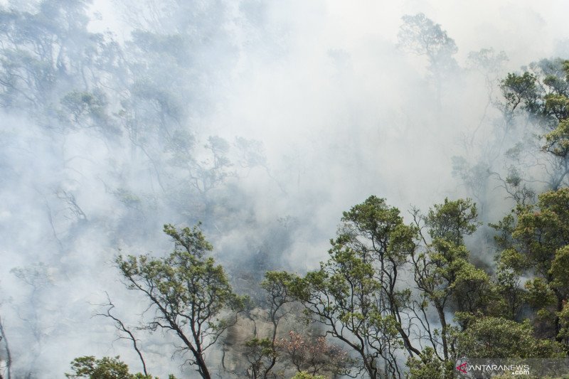 Kebakaran di Kawah Putih mulai padam, namun api menjalar ke Pasirjambu