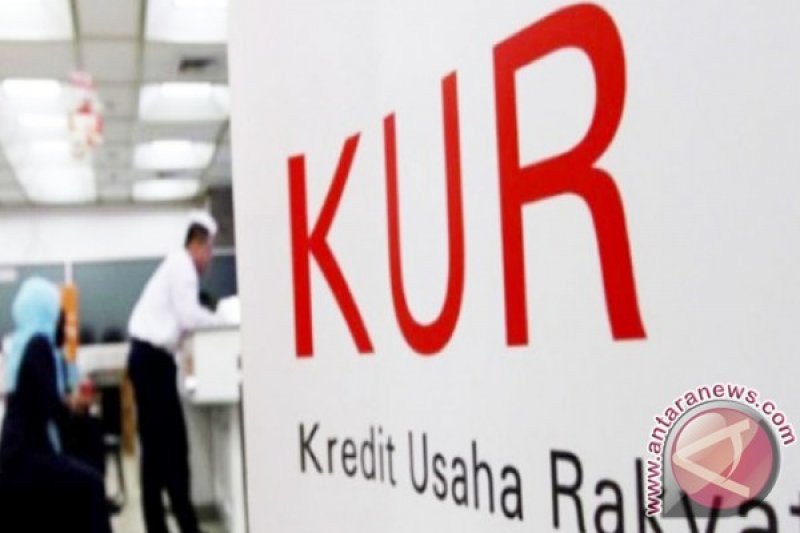 Bank Nagari Padang Pariaman salurkan KUR Rp40 miliar