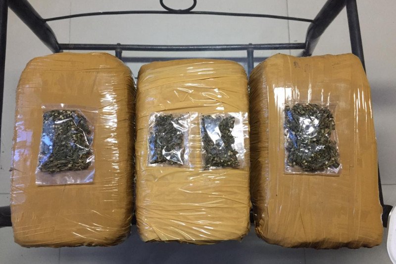 Polres Bintan tangkap pria bawa tiga kilogram ganja