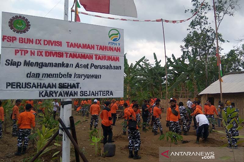 Serikat Pekerja PTPN IX amankan aset dari penjarah di Cilacap