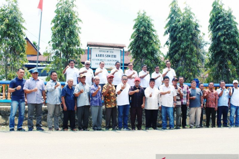 914 hektare perkebunan sawit Rokan Hilir akan diremajakan pada 2020