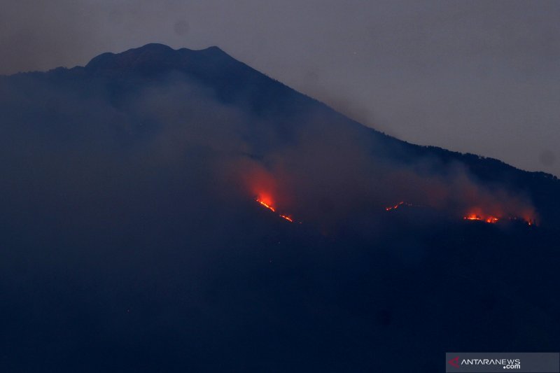 Sebanyak 40 personel Tahura dikerahkan untuk padamkan kebakaran Gunung Arjuno