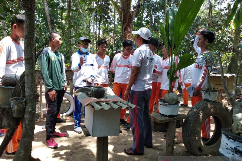 Di Lampung Timur ada wisata memanen madu