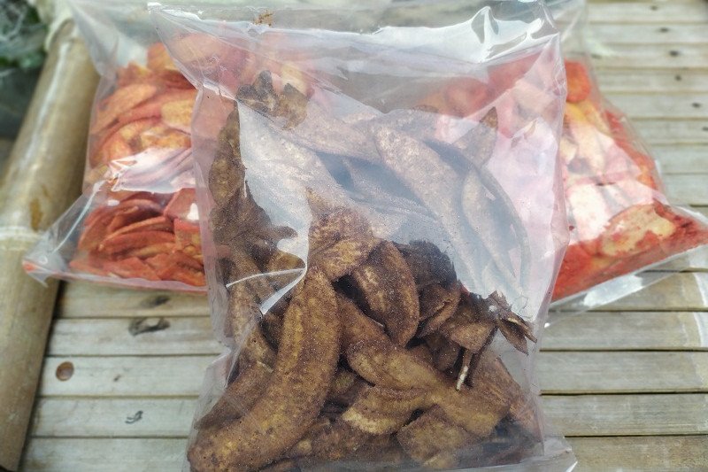 Kualitas keripik pisang UMKM mengalami turun akibat kemarau