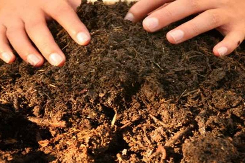 DLH Ogan Komering Ulu olah sampah menjadi pupuk kompos