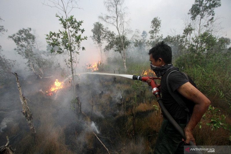 Jumlah titik panas cenderung menurun