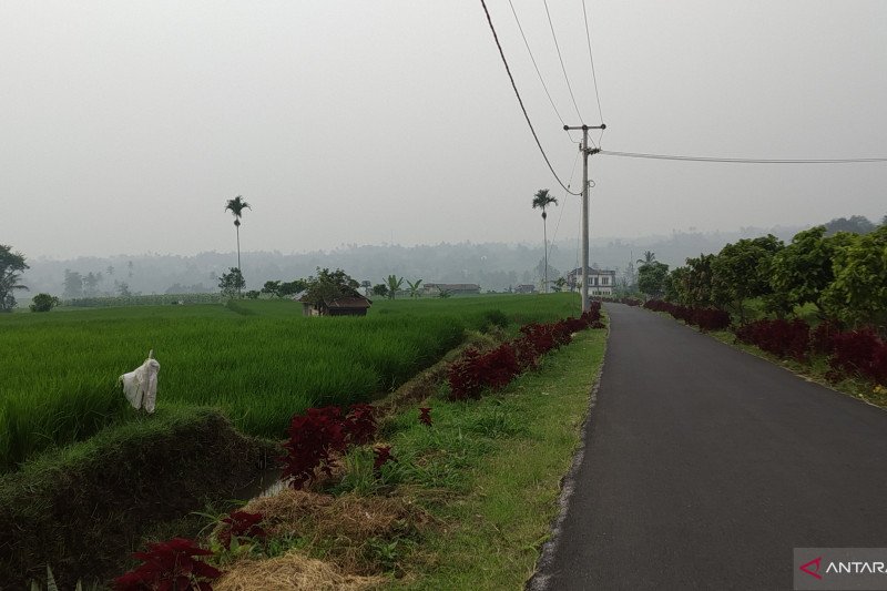 Di Tanah Datar, warga mulai merasakan mata perih akibat kabut asap