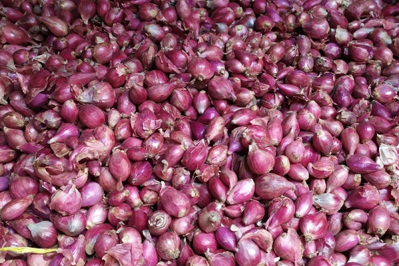 Harga bawang merah di Bandarlampung naik