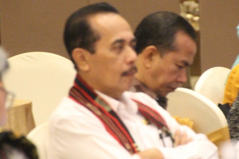 Ekonomi kreatif mampu dorong pertumbuhan ekonomi NTT