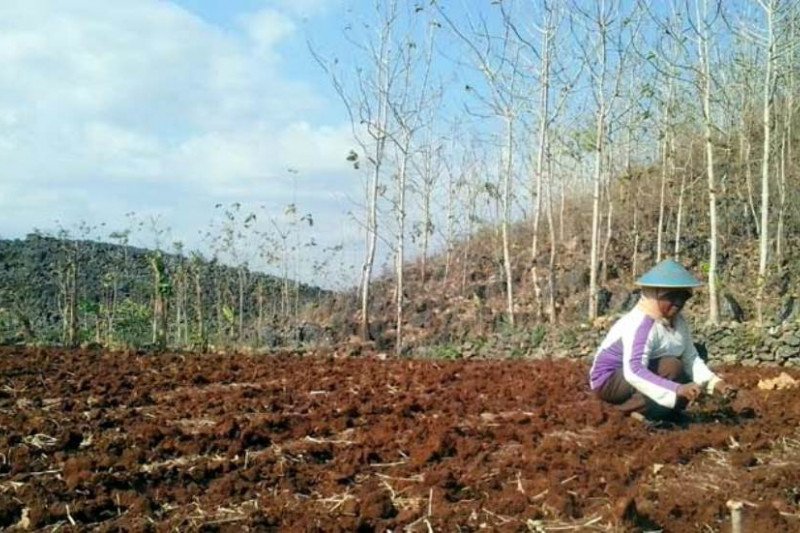 Musim tanam sudah dekat, petani diminta siapkan lahan
