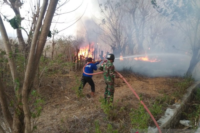300 hektare lahan terbakar di Taman Nasional Gunung Tambora berhasil dipadamkan
