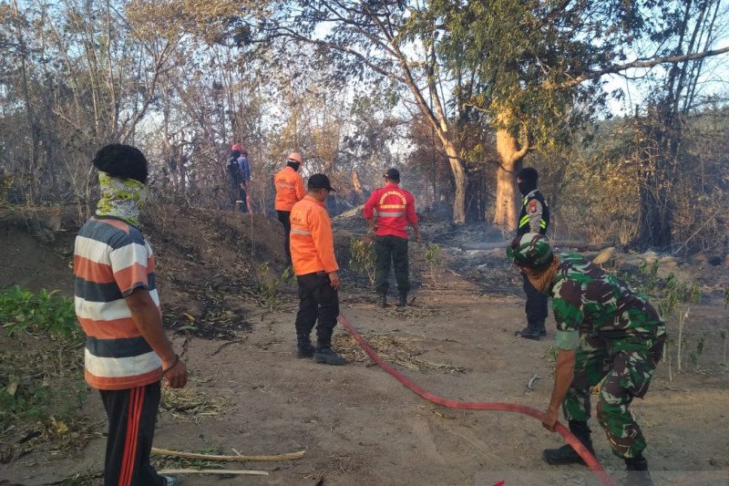Damkar Gowa masih berusaha padamkan kebakaran hutan dan lahan