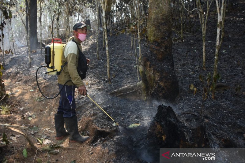 Kebakaran di kaki Gunung Lompobattang Gowa belum padam