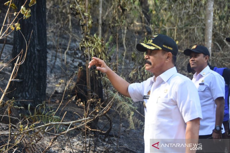 Wakil Bupati Gowa tinjau area terdampak karhutla di Tompobulu