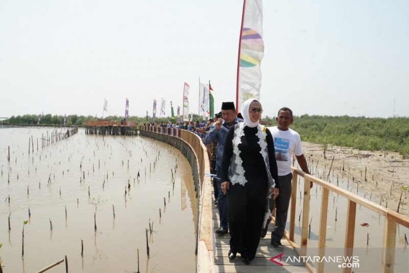 Pesisir di Karawang yang tergerus abrasi sedang
