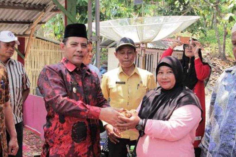 Pemkot Solok serahkan 8.100 ternak unggas ke kelompok peternak