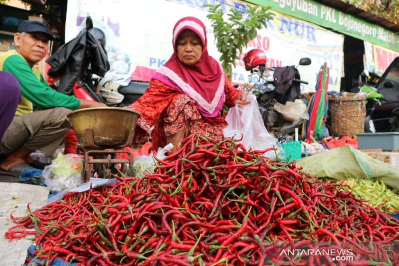Harga cabai merah keriting Baturaja turun jadi Rp24.000 per kilogram