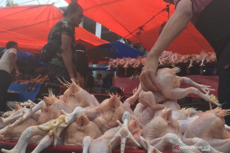 Legislator desak Disperindag Palangka Raya tekan harga daging ayam potong