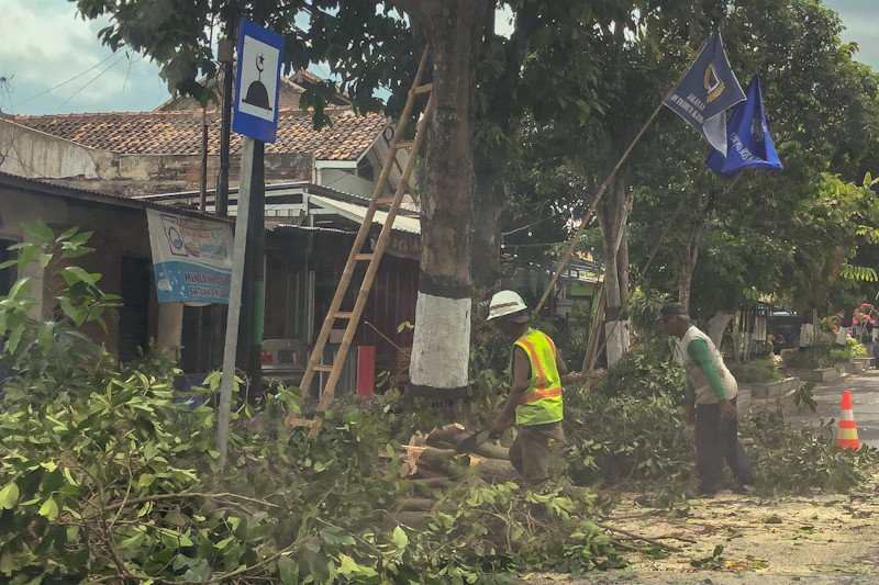 KTB di Yogyakarta diminta meningkatkan kewaspadaan jelang pancaroba