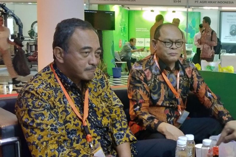 Produktivitas sawit berdampak terhadap kesejahteraan masyarakat