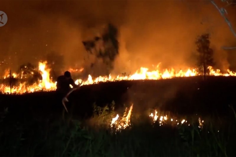 Lahan gambut di kawasan Wisata Pasir Padi terbakar
