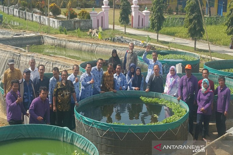 Realisasi produksi perikanan budi daya di Kulon Progo mencapai 4.269 ton