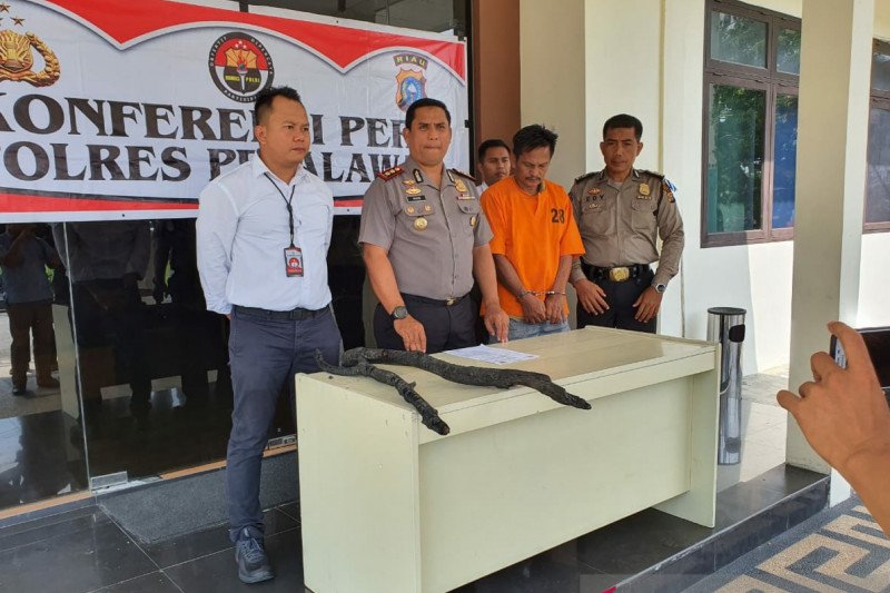 Dituduh sebabkan Karhutla, Polisi tangkap pencari tawon di Pelalawan