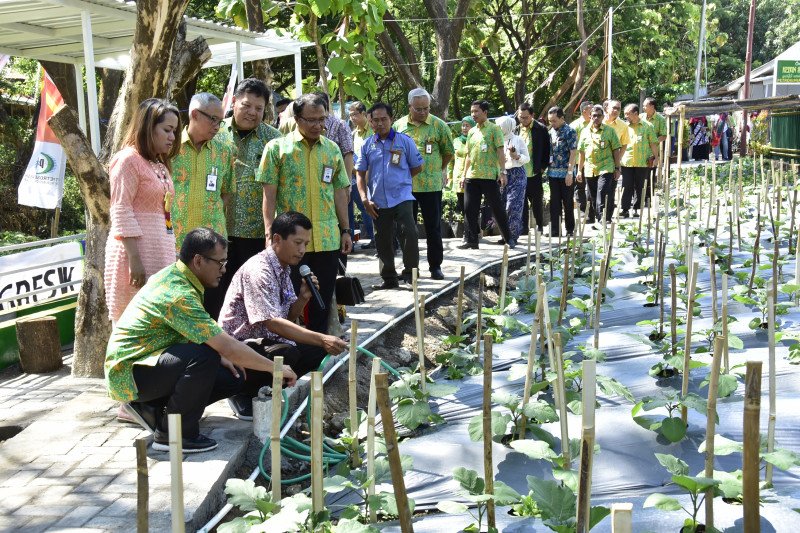 Air bekas wudu masjid dimanfaatkan Petrokimia untuk budi daya sayur dan ikan