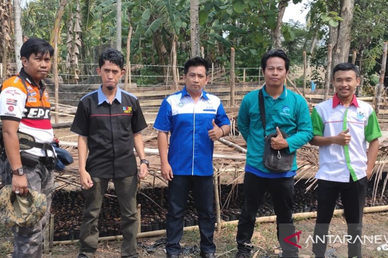 LLH Jejak Ogan Komering Ulu siapkan 500.000 bibit pohon produktif