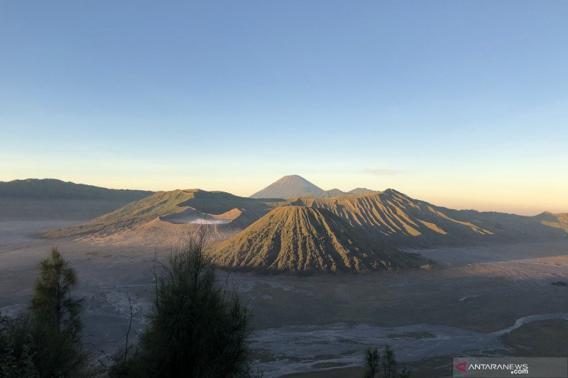 BB-TNBTS segera inventarisasi dampak kebakaran hutan di Gunung Semeru