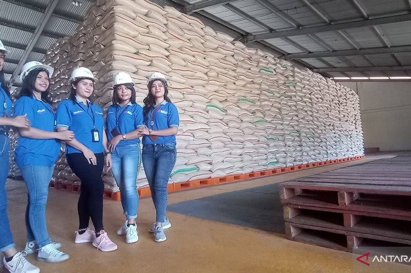Stok beras untuk NTT masih aman