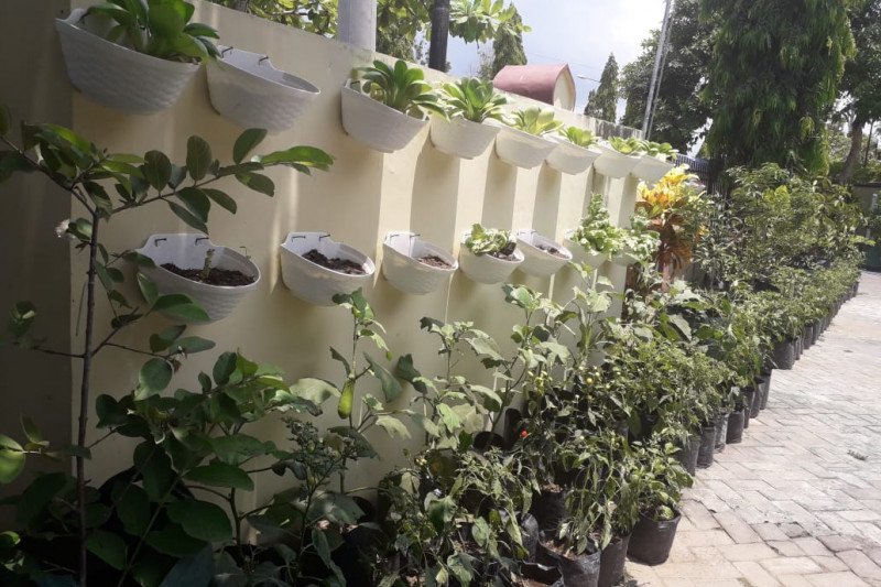 DKP Mataram segera canangkan program "Opal" secara massal